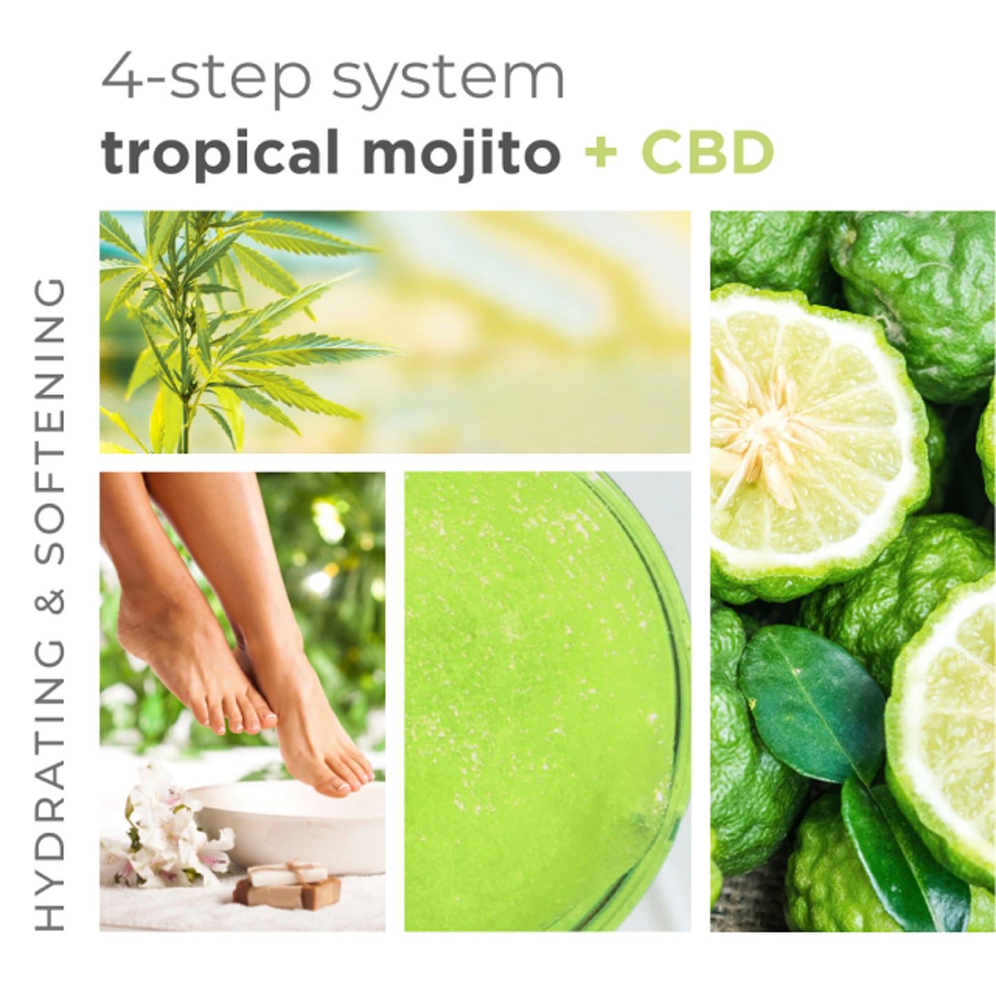 Organic Tropical Mojito 4-step spa kit for refreshing and hydrating skin