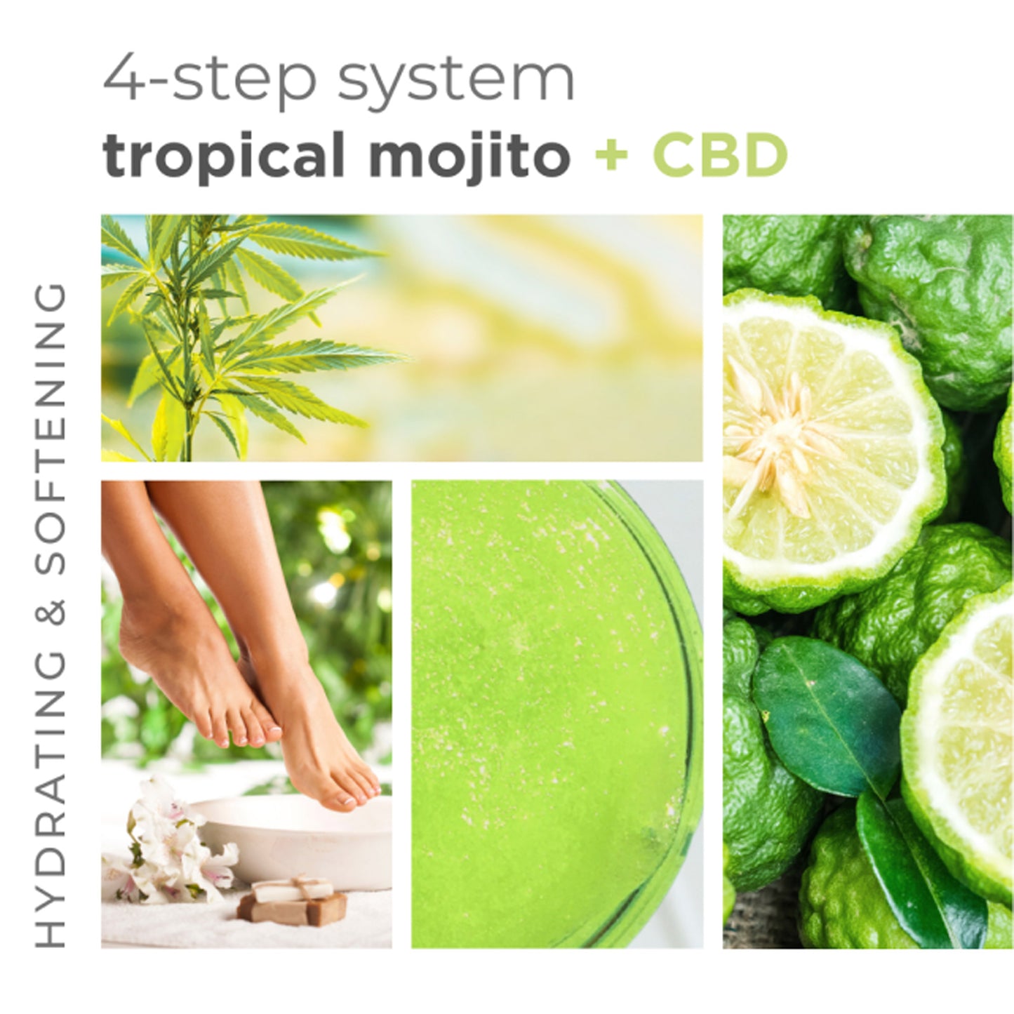 Exfoliating sugar scrub with mint, bergamot, and organic oils for smooth, refreshed skin