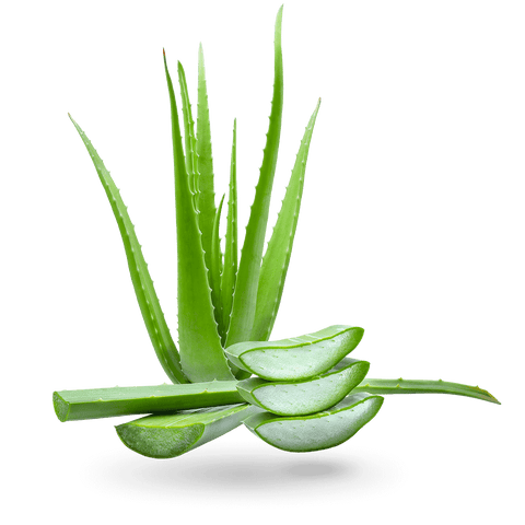 Natural brightening lotion with mandarin and aloe vera