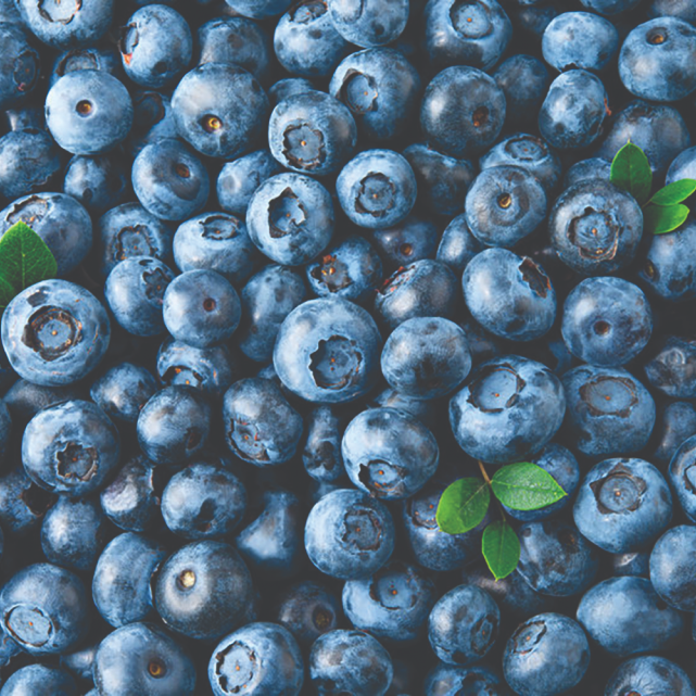 Fresh-Pressed Very Blueberry Cherry Smoothing Conditioner