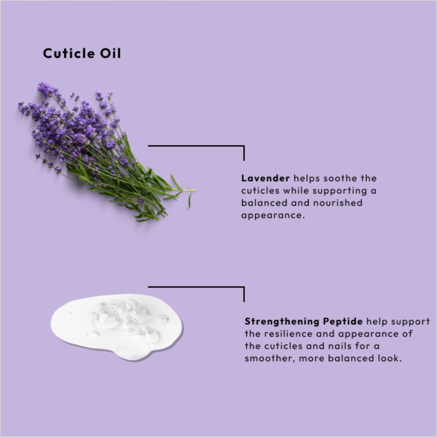 Hydrating nail and cuticle oil with lavender and strengthening peptides