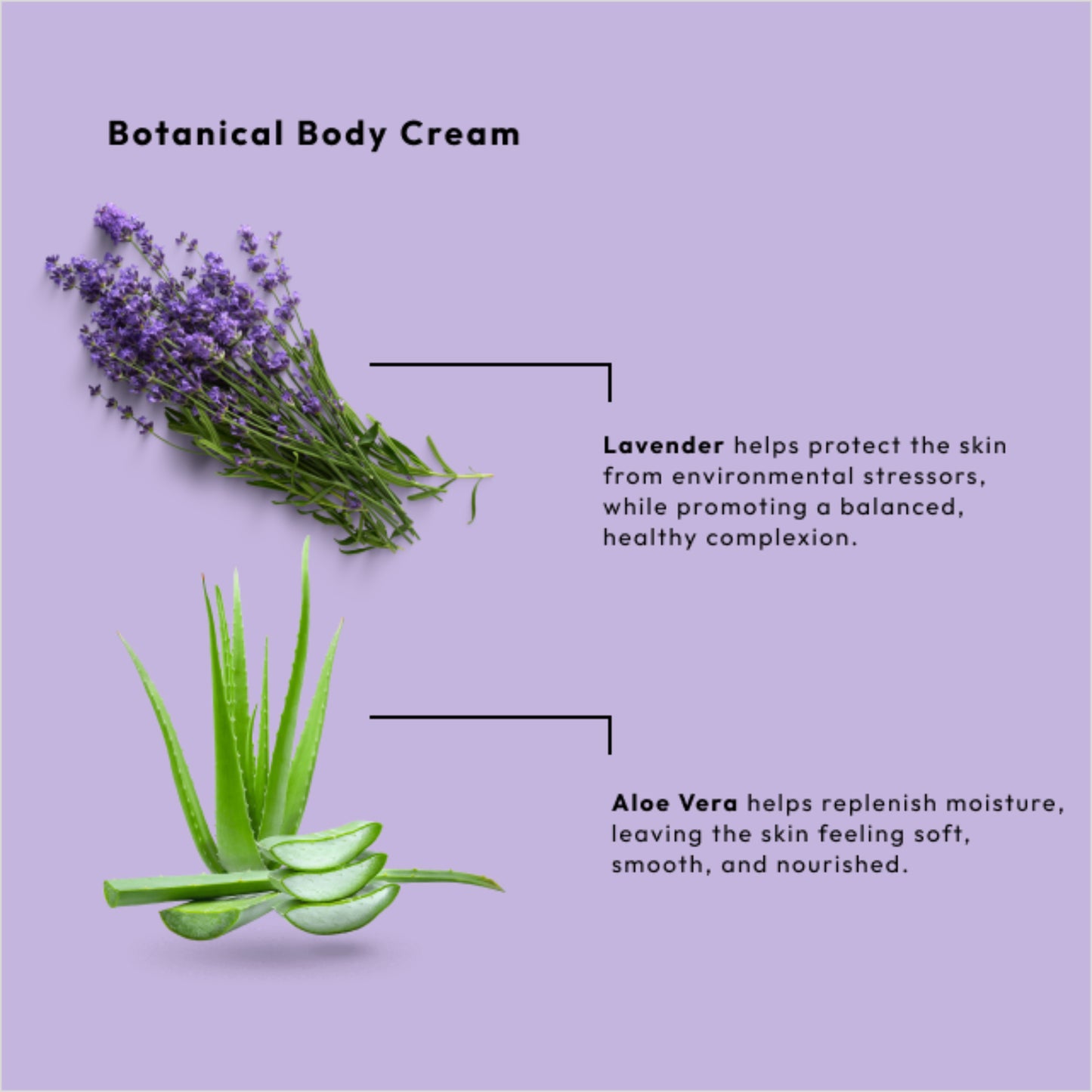 Calming lavender body cream with aloe vera and ceramides.