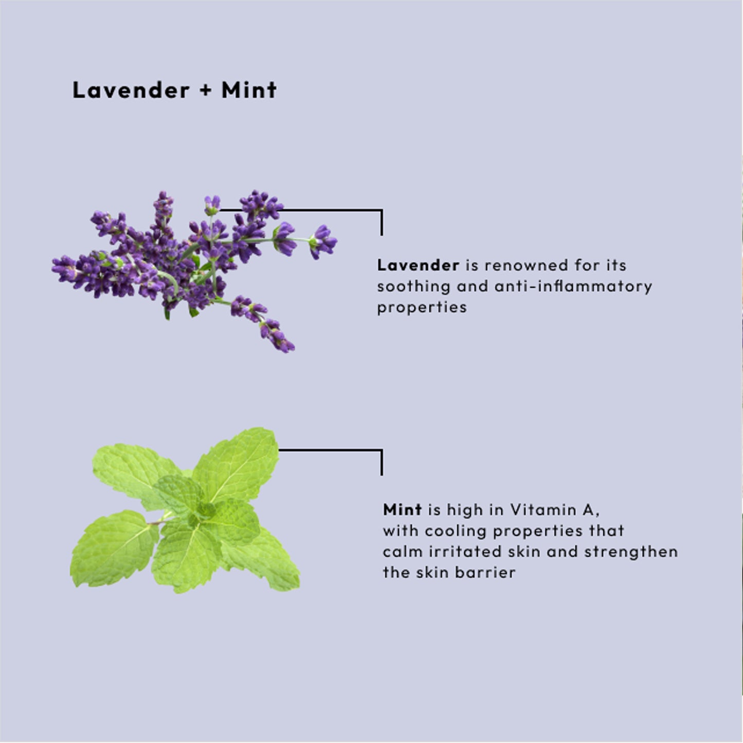 Soothing lavender mint clay mask for dry, stressed skin