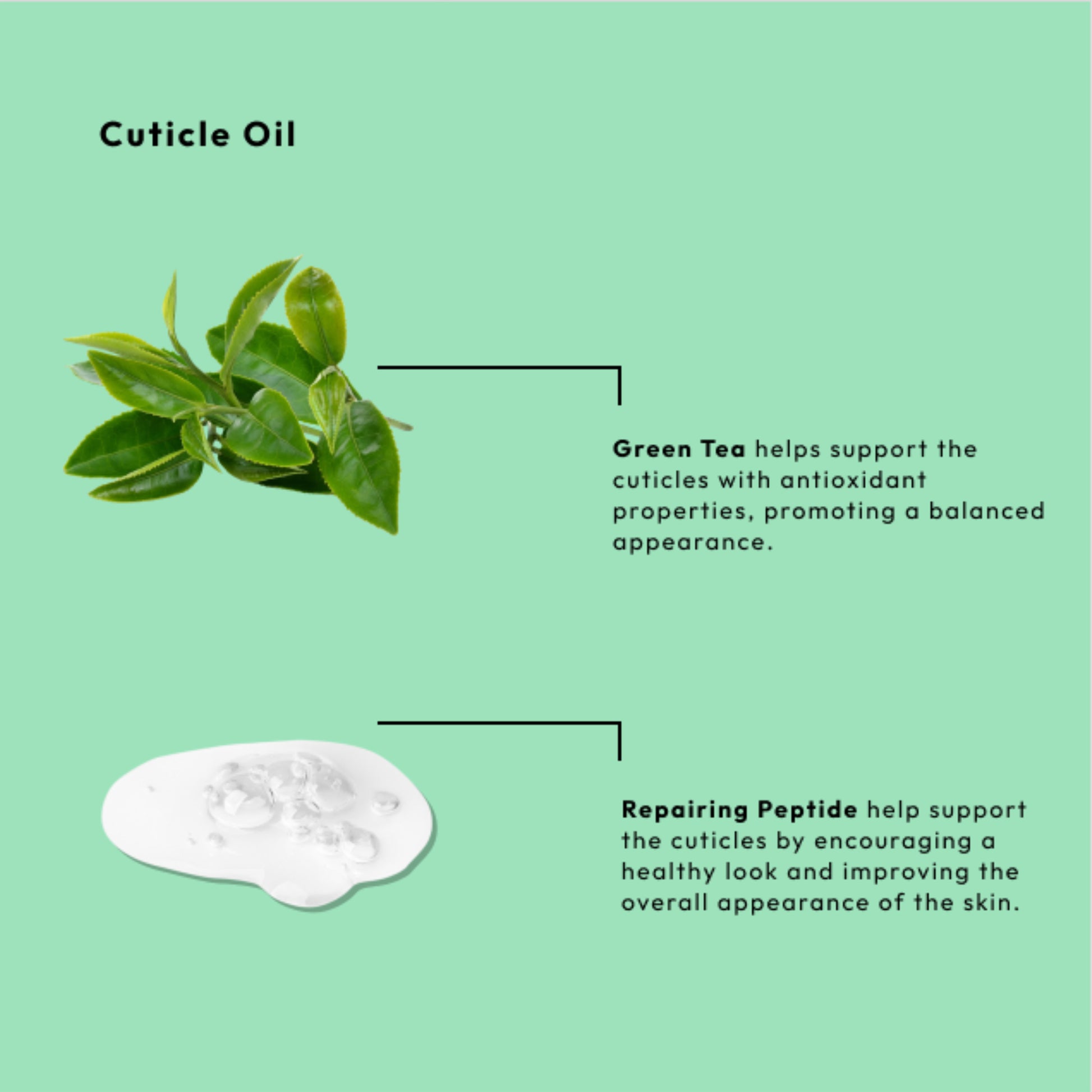 Hydrating nail and cuticle oil with green tea and nourishing peptides