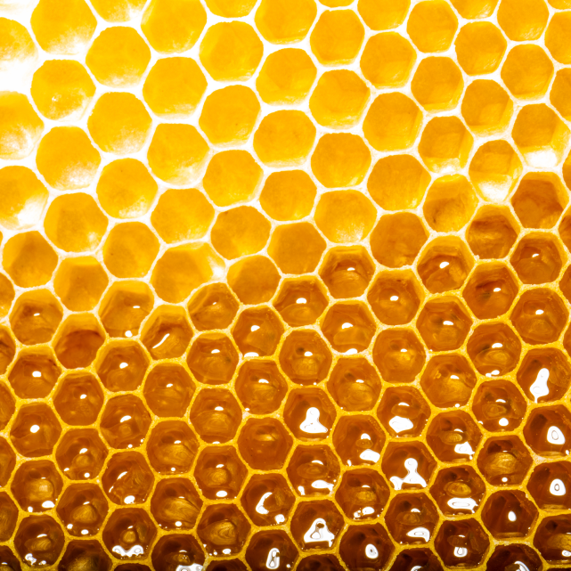 Curl Care Shampoo with Manuka Honey