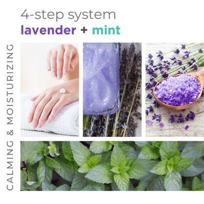 Lavender + Mint 4 Step Starter Kit