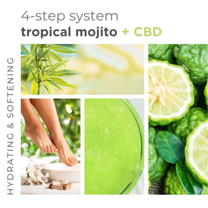 Tropical Mojito 4-in-1 Packet Box Set