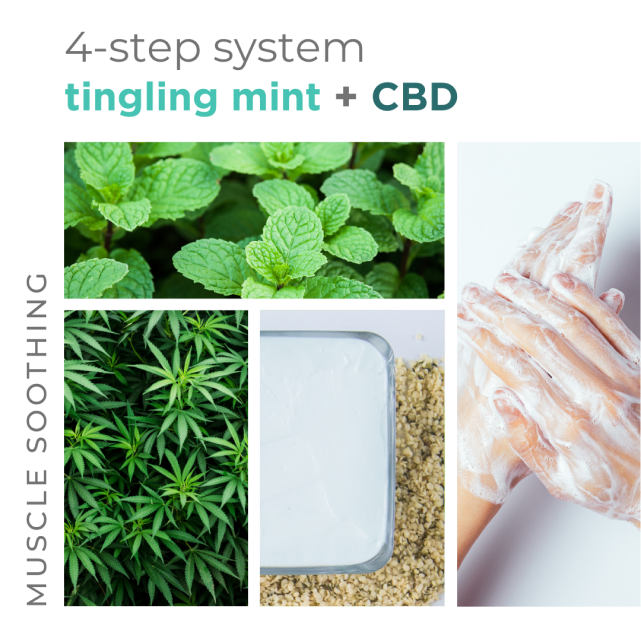 Tingling Mint 4-in-1 Packet Box Set