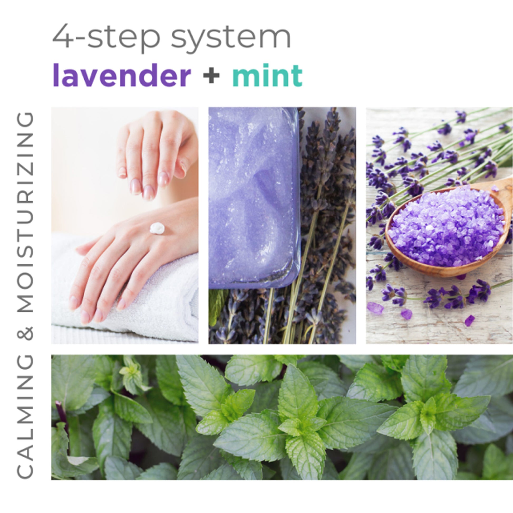 Botanical sugar scrub with lavender and mint for exfoliating and moisturizing