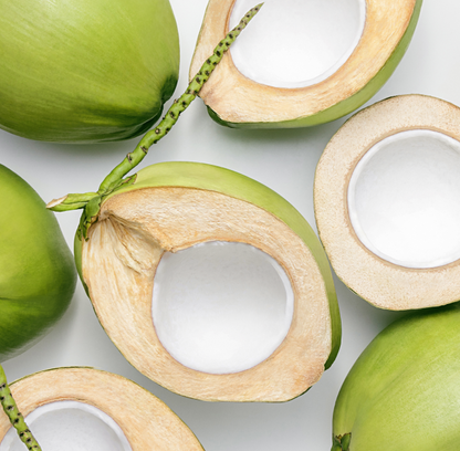 Zen Benefits Leave-in Spray with Coconut Milk
