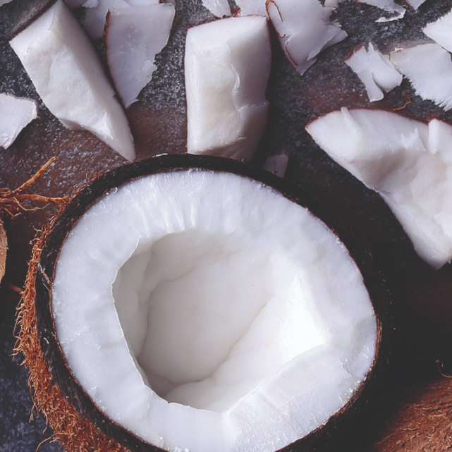 Moisture Therapy Conditioner with Coconut Milk