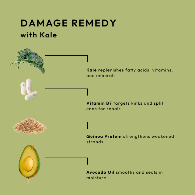 Damage Remedy Shampoo with Kale
