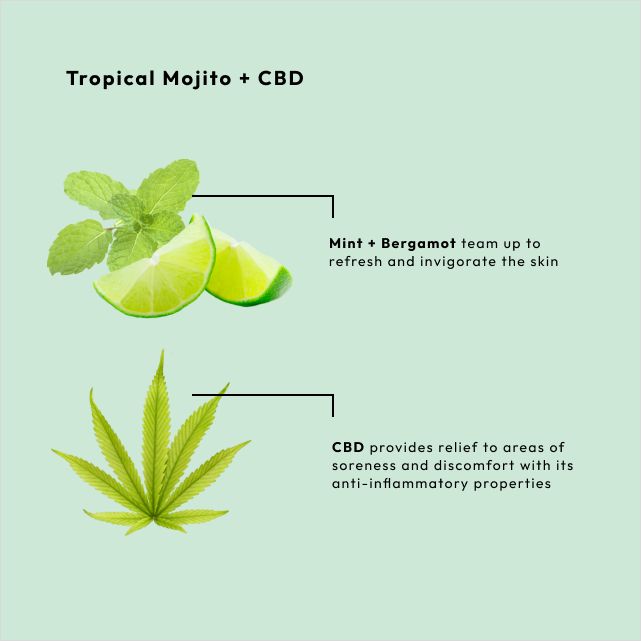 Tropical Mojito 4 Step Starter Kit