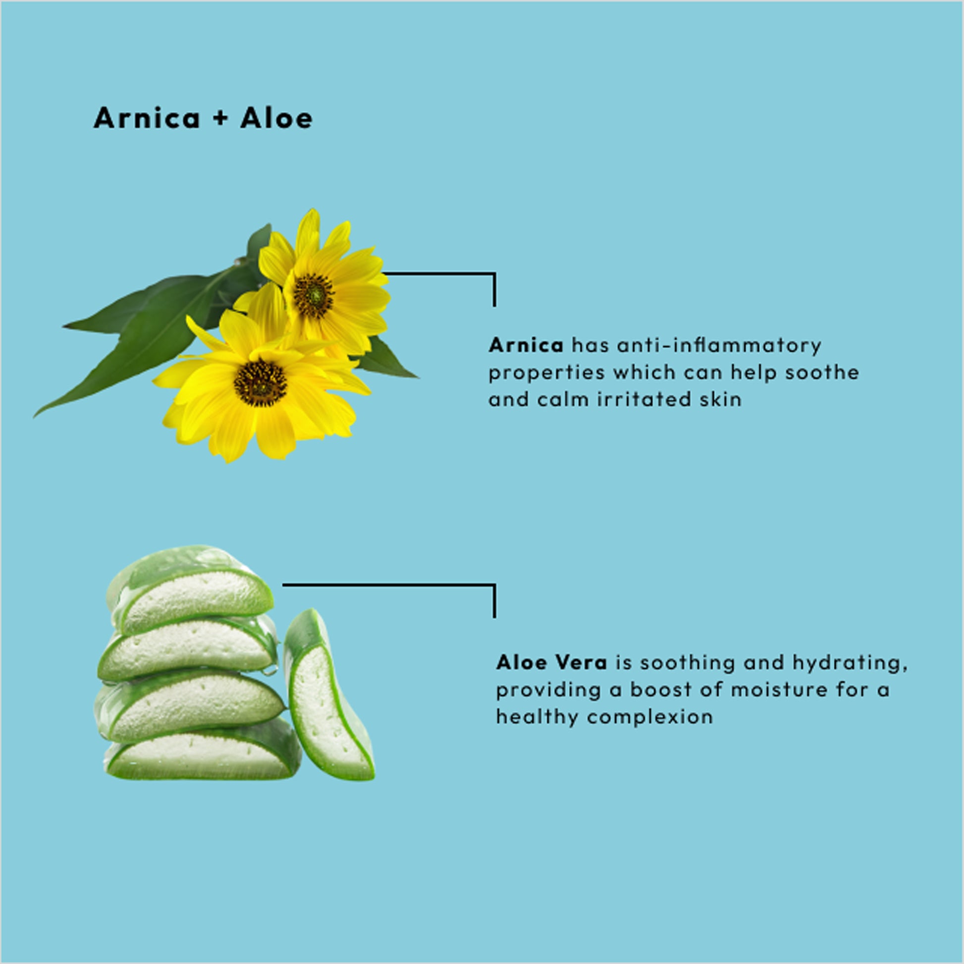 Botanical sugar scrub with arnica and aloe for exfoliating and hydrating rough skin