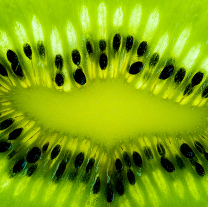 Fresh-Pressed Green Apple Kiwi Detangling Conditioner