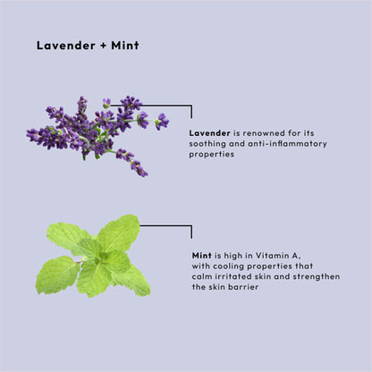 Hydrating massage cream with calming lavender and mint