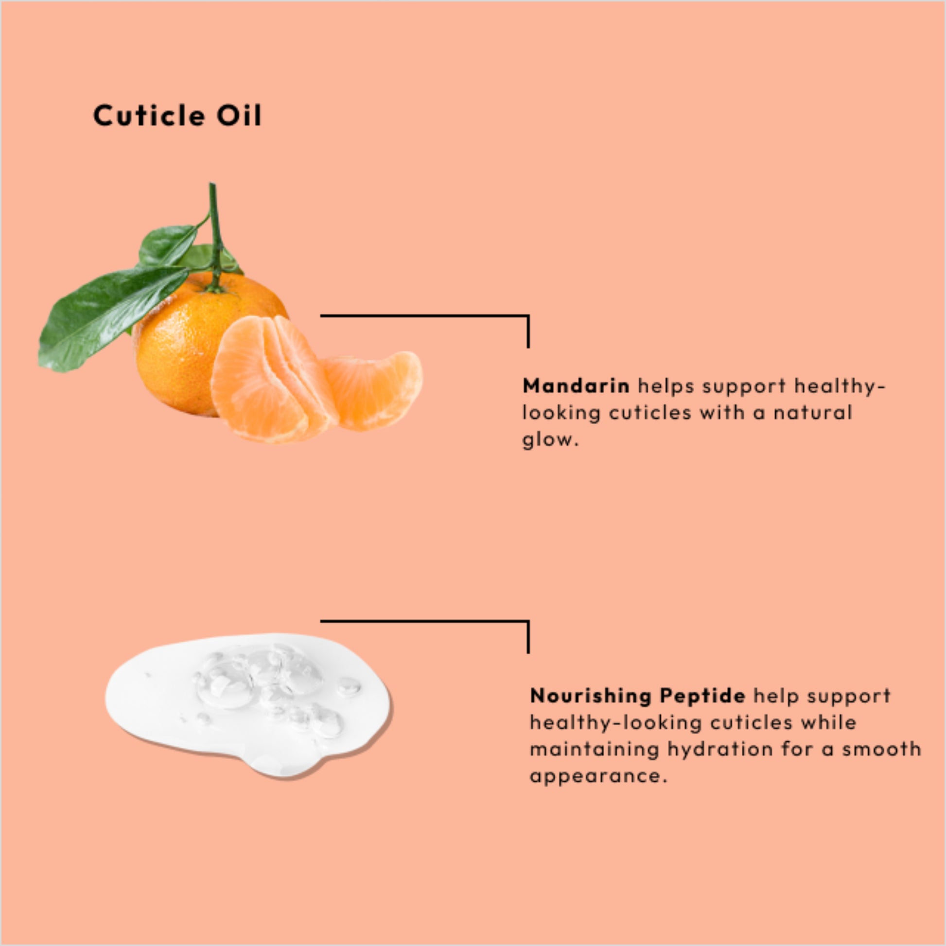 Hydrating nail and cuticle oil with mandarin and nourishing peptides
