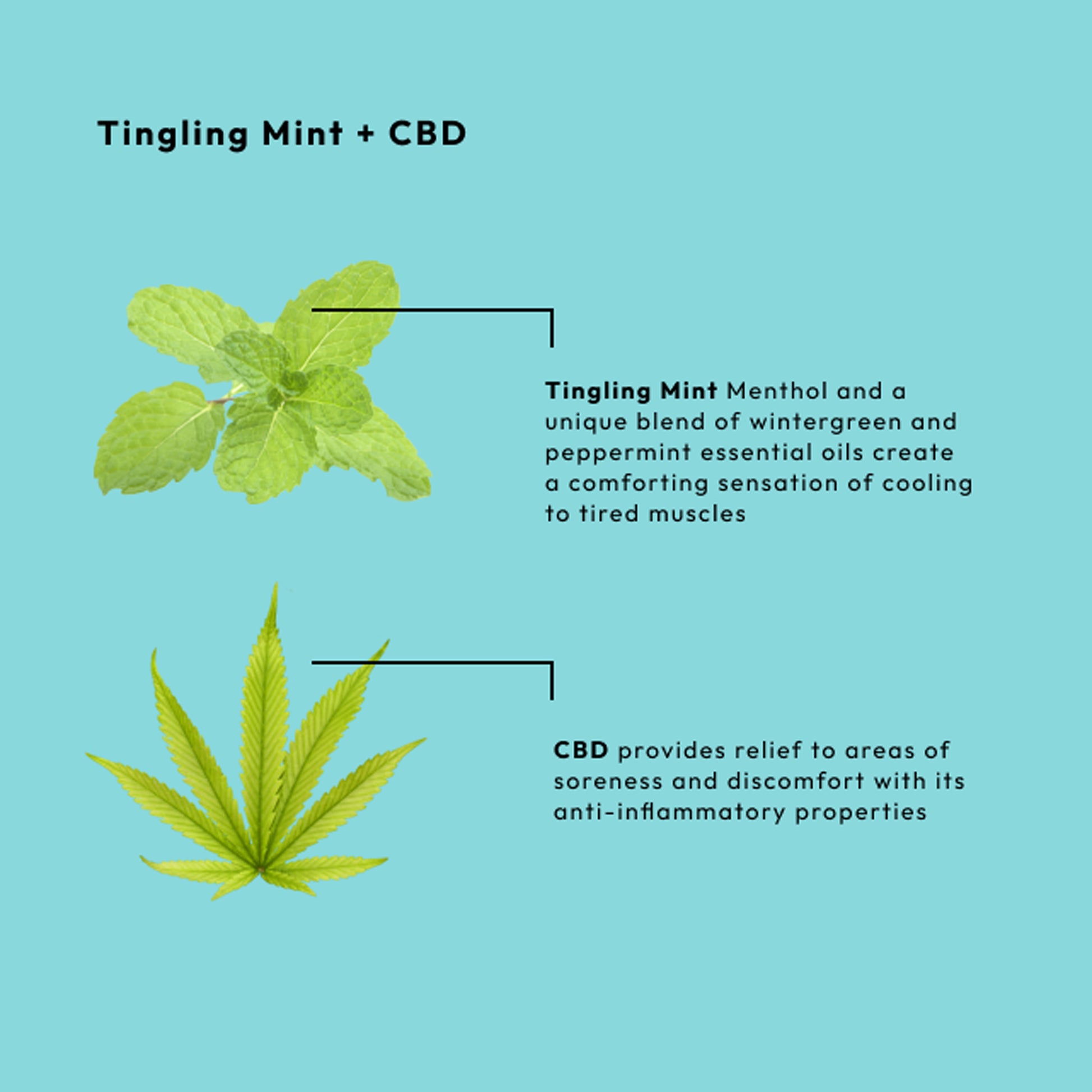 Cooling mint massage cream with organic hemp and peppermint